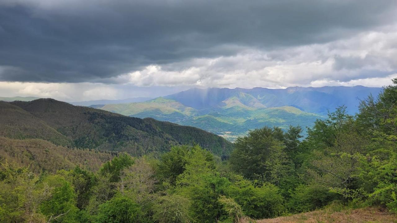 Il Cargedo Villa Mulazzo Bagian luar foto